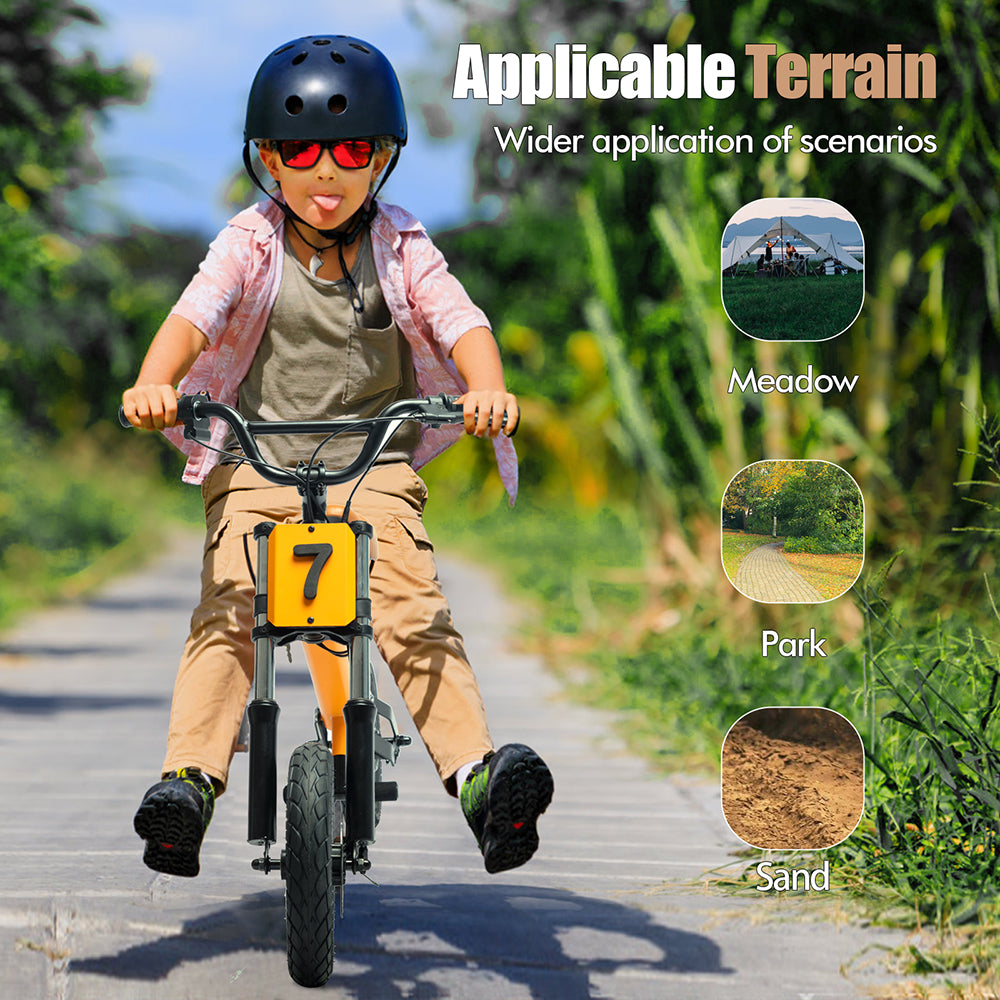 Voylite C1 Electric Balance Bike for Kids Ages 4-10 (UK & EU Available)