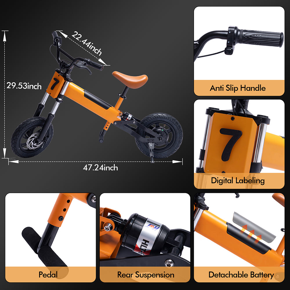 Voylite C1 Electric Balance Bike for Kids Ages 4-10 (UK & EU Available)